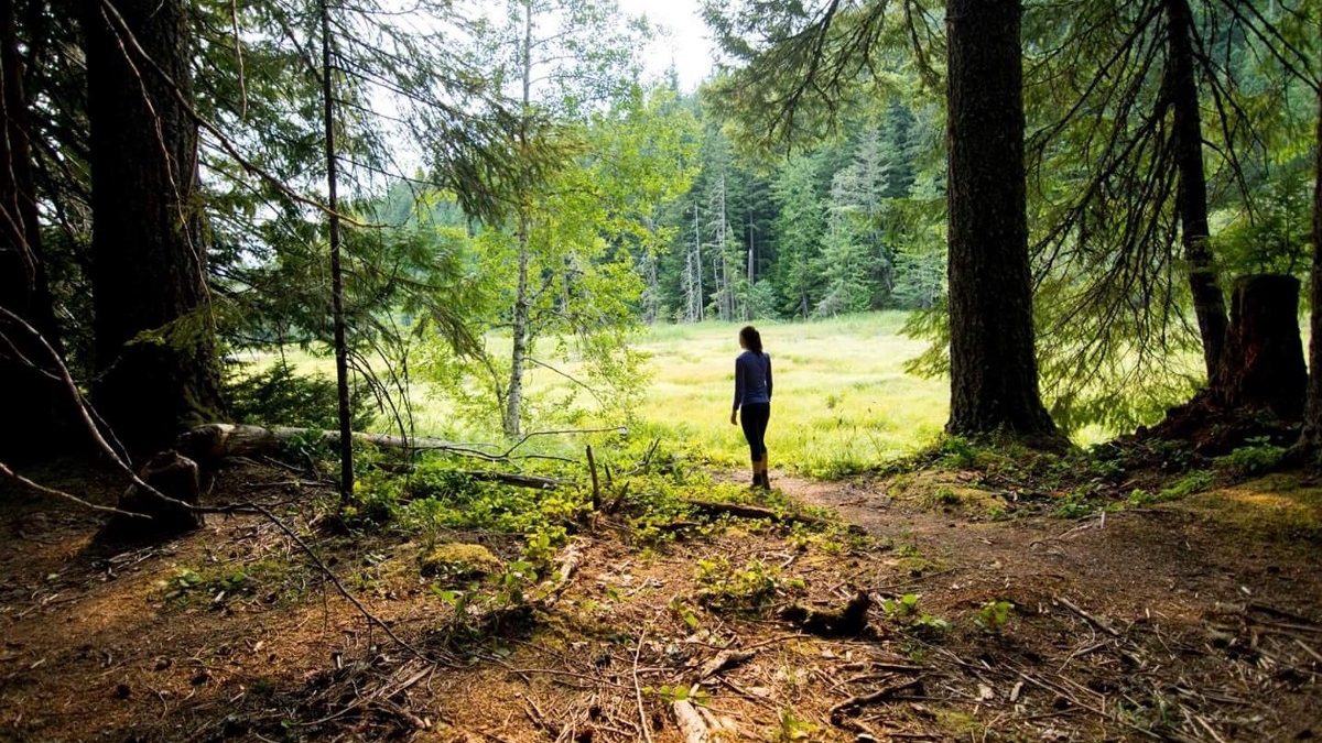 Girl in forest