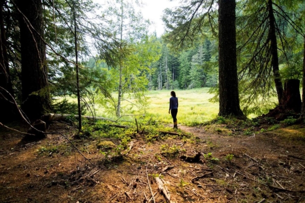 Girl in forest